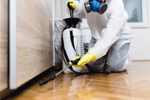 Best Emergency Pest Control  in Newton, IA