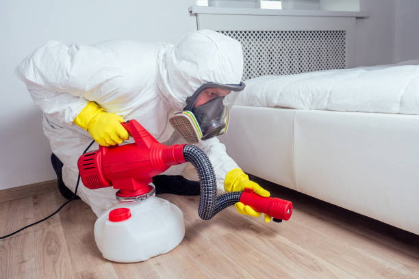 Trusted Newton, IA Pest Control Experts