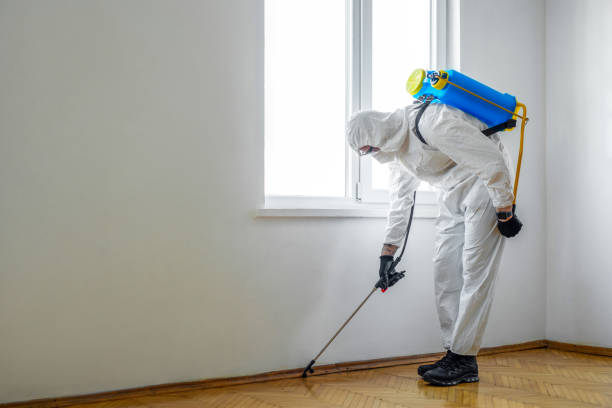 Best Flea Control Services  in Newton, IA