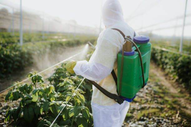 Best Exterminator Services  in Newton, IA
